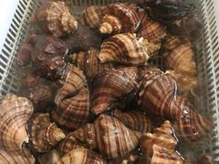 -莆鑫海鲜城(浏河店)