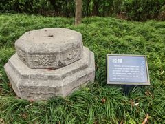 -木塔寺遗址生态公园