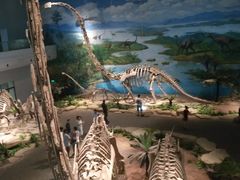 -自贡恐龙博物馆