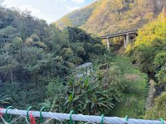 -西双版纳原始森林公园