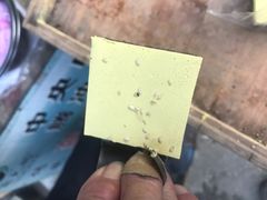 蔺大妈松花糕-蔺大妈松花糕