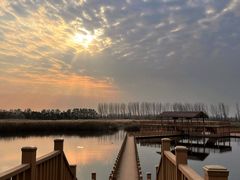 -白洋淀景区