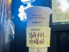 -猫的魔法密林(衣裳街店)