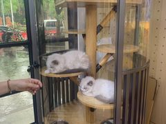 -悠尼宠物·独立低压伊珊娜洗护·美容·寄养(兰谷路店)