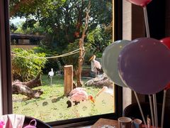 -熊猫自助餐厅.萌趣城堡(长隆熊猫酒店)