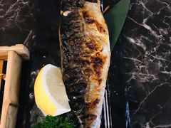 烤青花鱼-高木日本料理(静安寺店)
