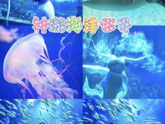-《神游传奇》秀