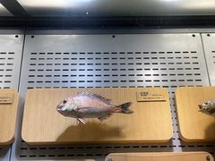 -青岛海底世界-水族馆