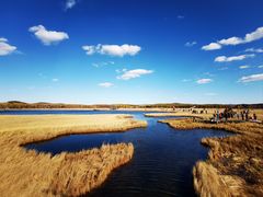 -塞罕坝国家级自然保护区