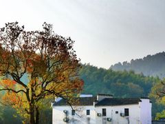 -塔川景区