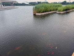 -天津万象城