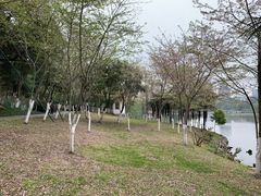 -沙市市中山公园