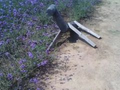 -紫海香堤香草艺术庄园