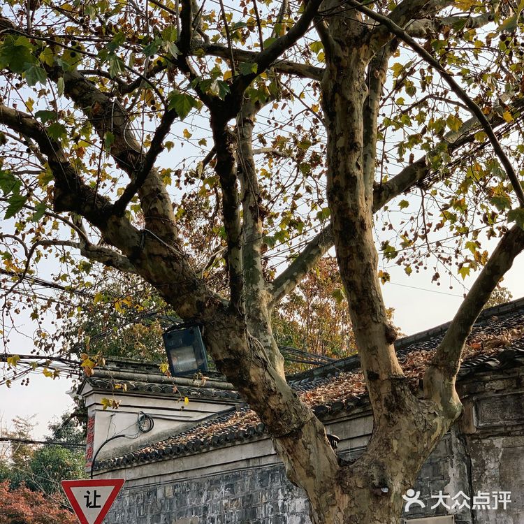 孝闻街  🍂