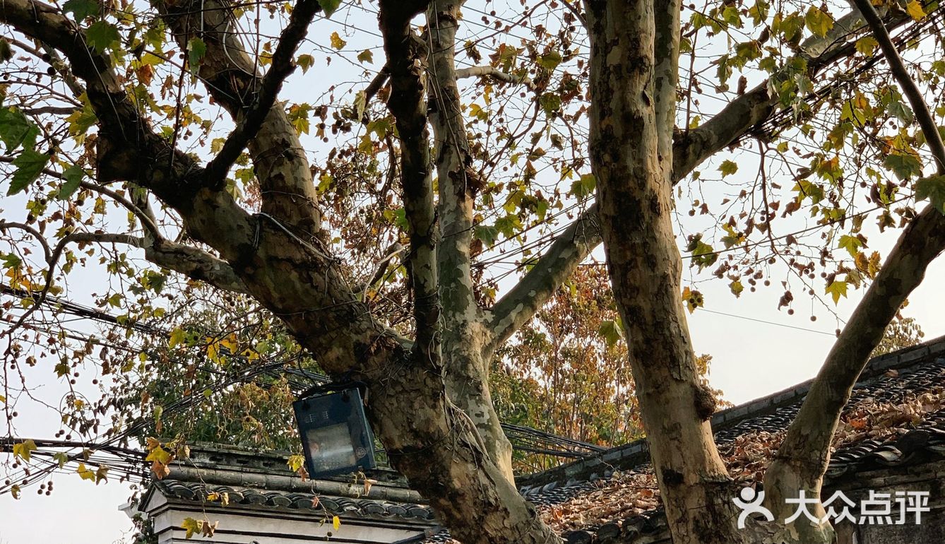 孝闻街  🍂