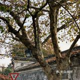孝闻街  🍂