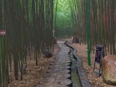 -竹泉村旅游度假区