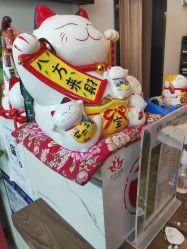 点击看大图 -阅年轻·AI家庭健康体质调理