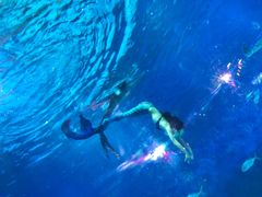 -烟台海昌鲸鲨海洋公园