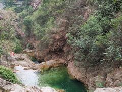 -南海湾森林生态园