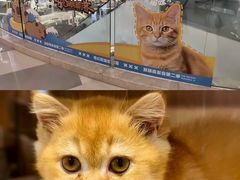 -天河领展广场