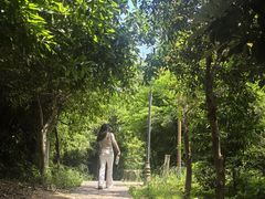 -大罗山风景区
