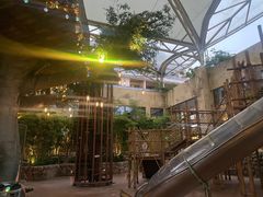 -杭州开元森泊度假乐园