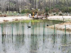 -佛手湖郊野公园