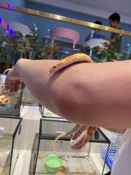 -Moni星球萌宠·小马宝莉·灵蛇·高端高阶全萌宠互动体验俱乐部(红豆国际广场店)