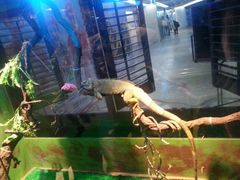 android_upload_pic-INLOVE KTV(世博源店)