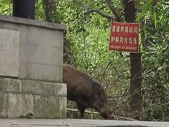 -敬亭山风景名胜区
