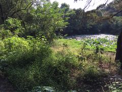 荷叶-青龙山国家森林公园