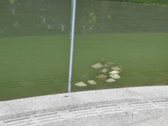 -北坞公园