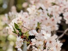 -江南大学(蠡湖校区)