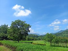 -福建鲤鱼洲酒店