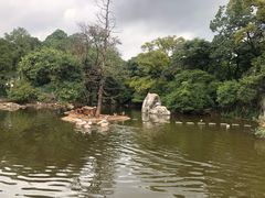 -昆明动物园