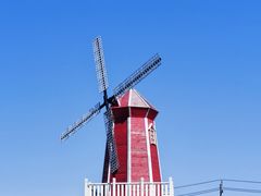 -羊亭河湿地公园