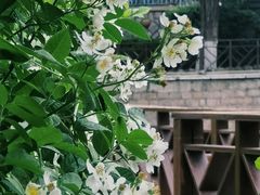 -贮水山儿童公园