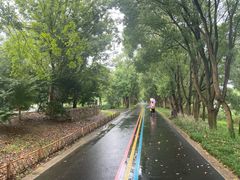 -同里国家湿地公园