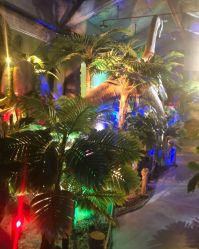 -恐龙探索乐园(磁器口店)