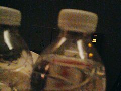 -涨巢·潮玩水疗局