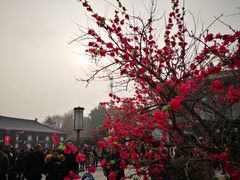 -大雁塔北广场音乐喷泉