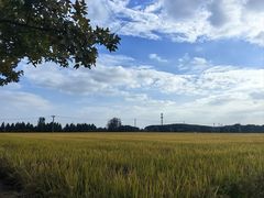 -嘉北郊野公园