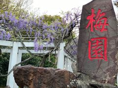 -无锡梅园公园