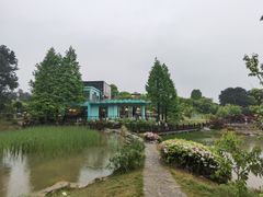 -铁山坪森林公园