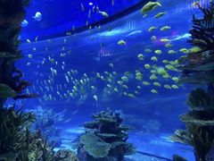 -欢乐海岸海洋奇梦馆