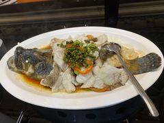 青花椒蒸龙胆鱼-闽和南(深圳万象城店)