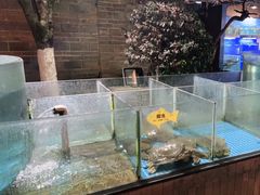 水产区-天怡·鱼工厂(临江店)