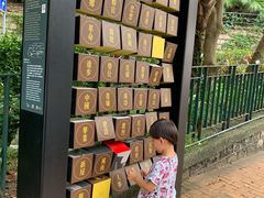 -香港大学