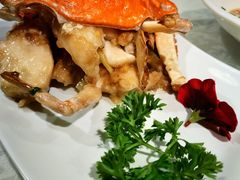 -阿巧一号私房菜(止园路店)